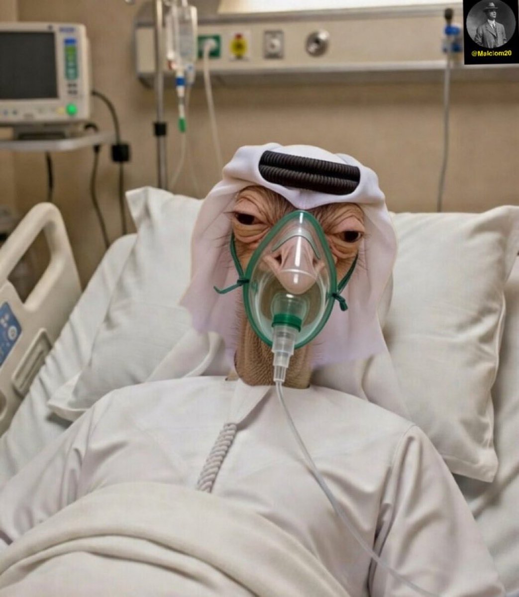 Current state of the GCC sand Jews