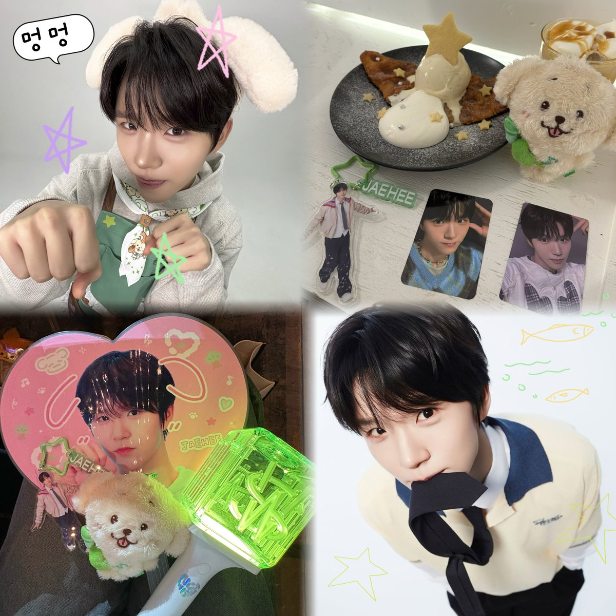 りーわん🐶🍀 tweet media