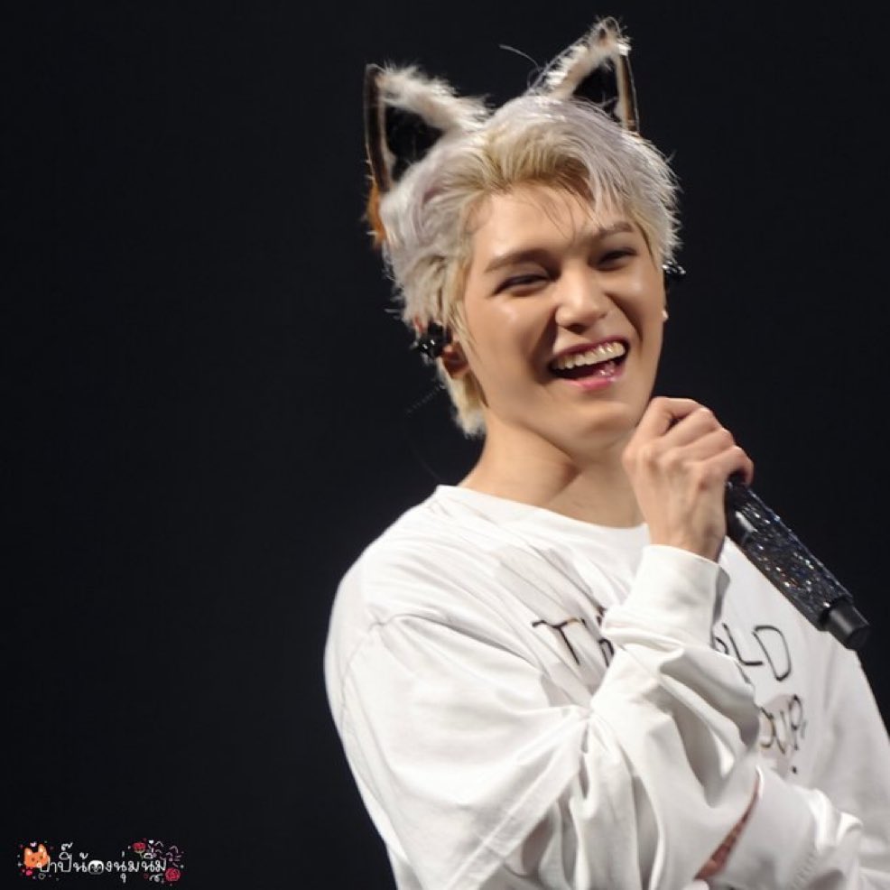 ไตแลนด์ก็ต้องกานแมวแตมง^⸝⸝› Ⱉ ‹⸝⸝^ ྀི