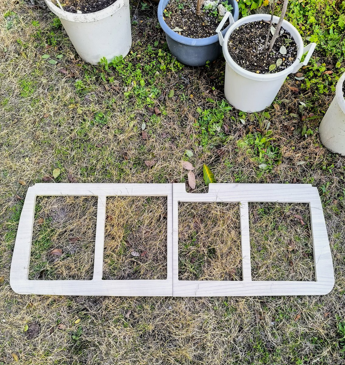 nishy-willvs:O.B. tweet media