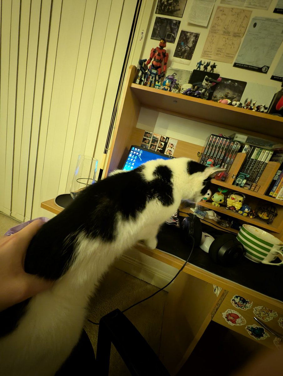 ruby !! 🏳️‍⚧️🐈 tweet media