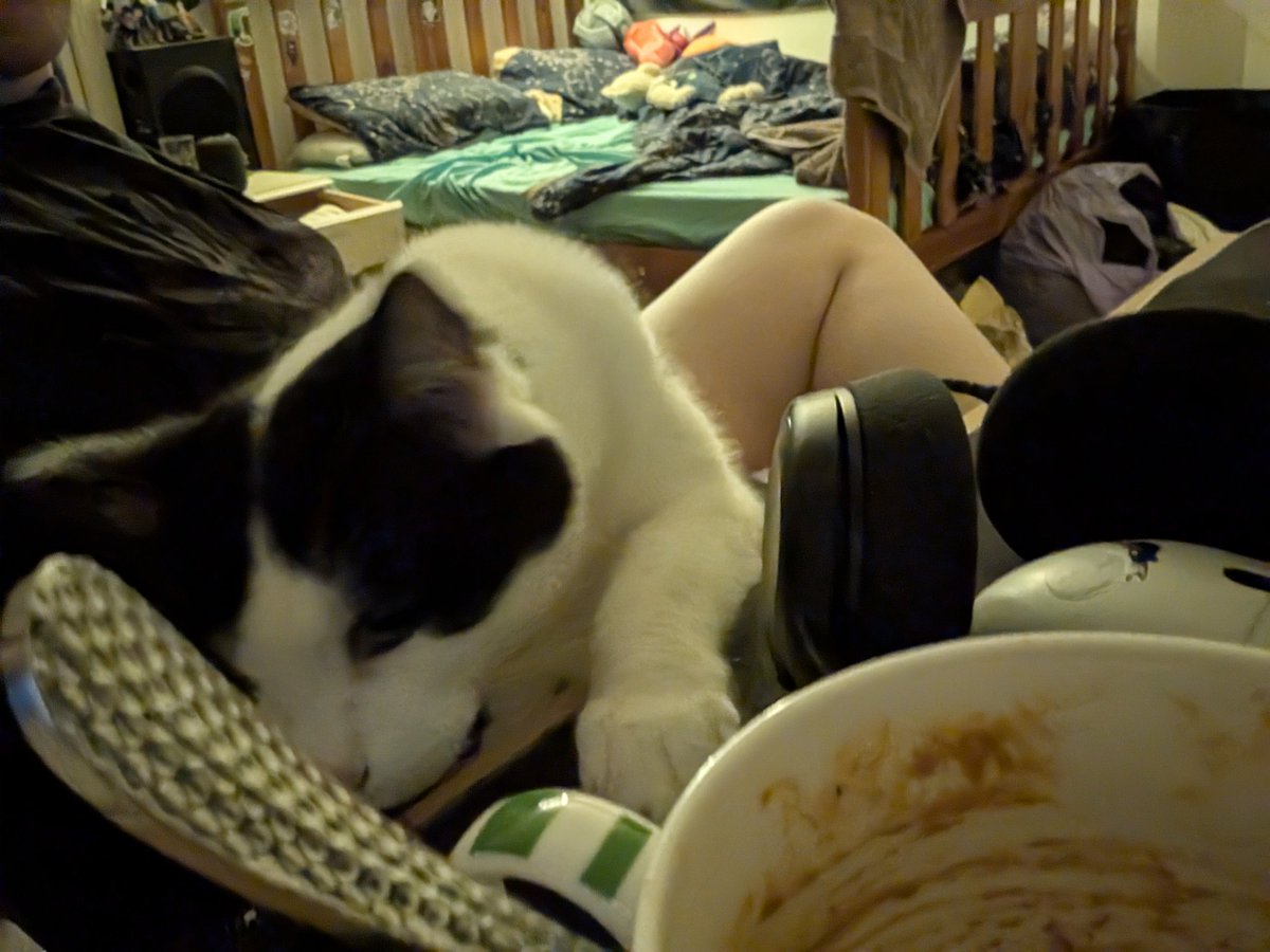 ruby !! 🏳️‍⚧️🐈 tweet media