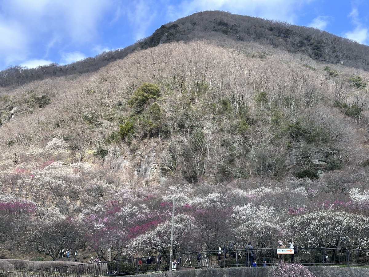ballbug_arma's tweet photo. いい休日だったなあ https://t.co/lErHk4LBcI