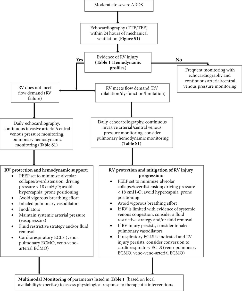 Critical Care Reviews tweet media