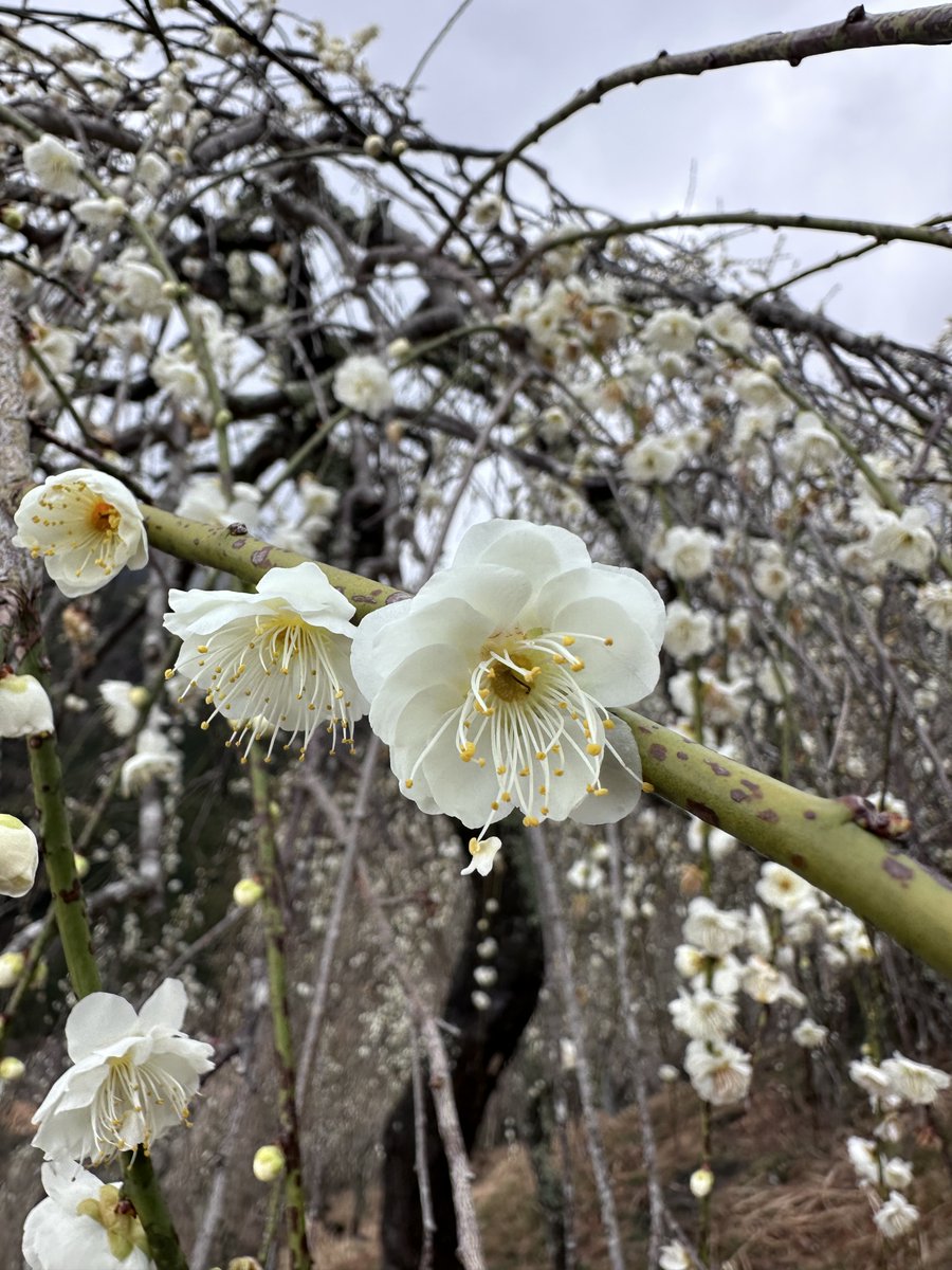 ballbug_arma's tweet photo. いい休日だったなあ https://t.co/lErHk4LBcI