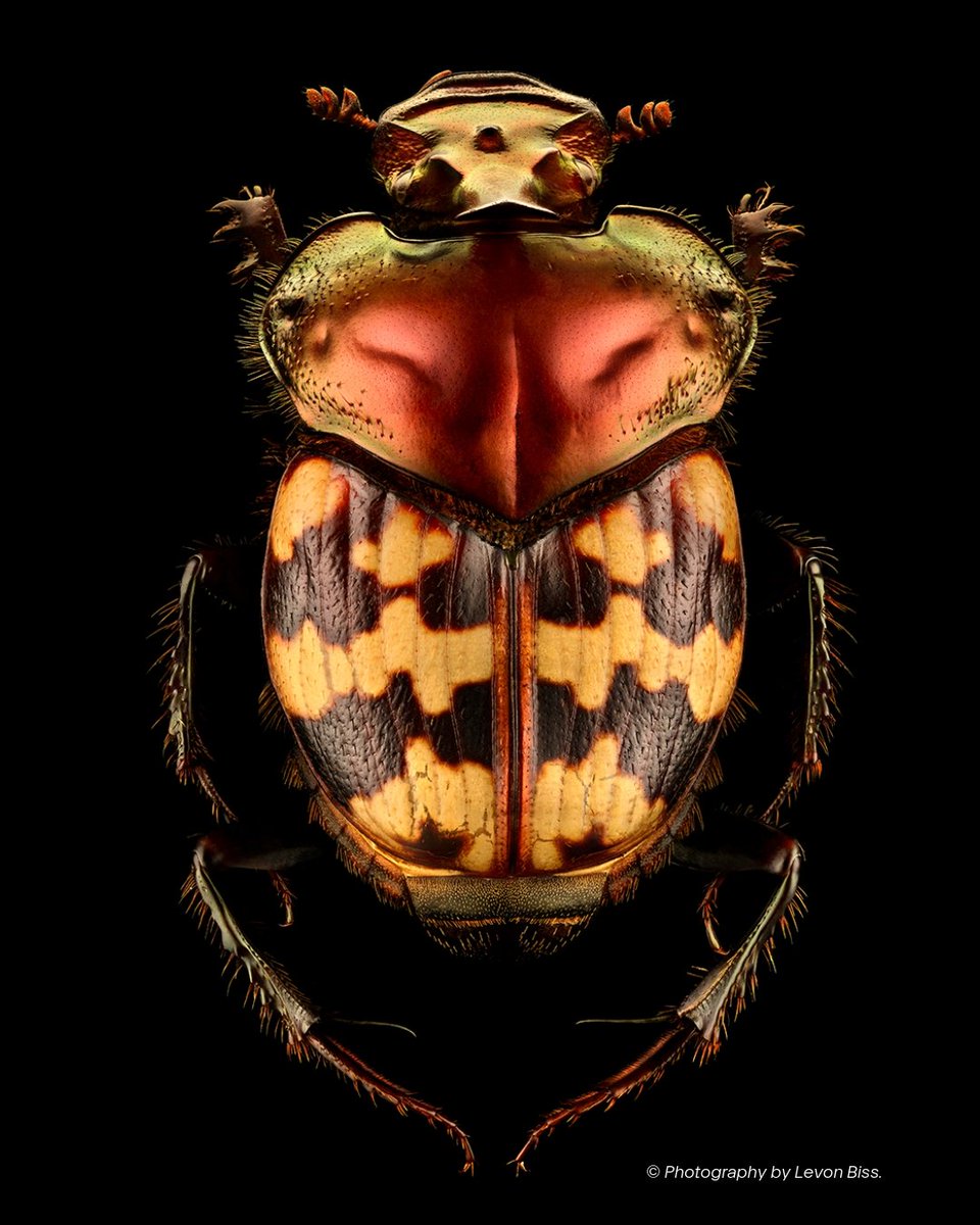 ArtScience Museum tweet media