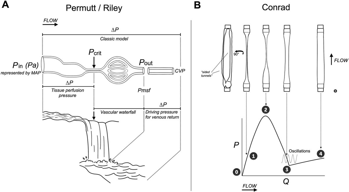 Critical Care Reviews tweet media
