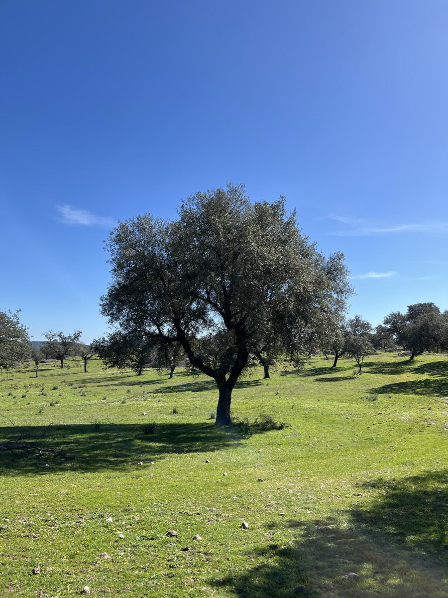 Tania Agúndez tweet media