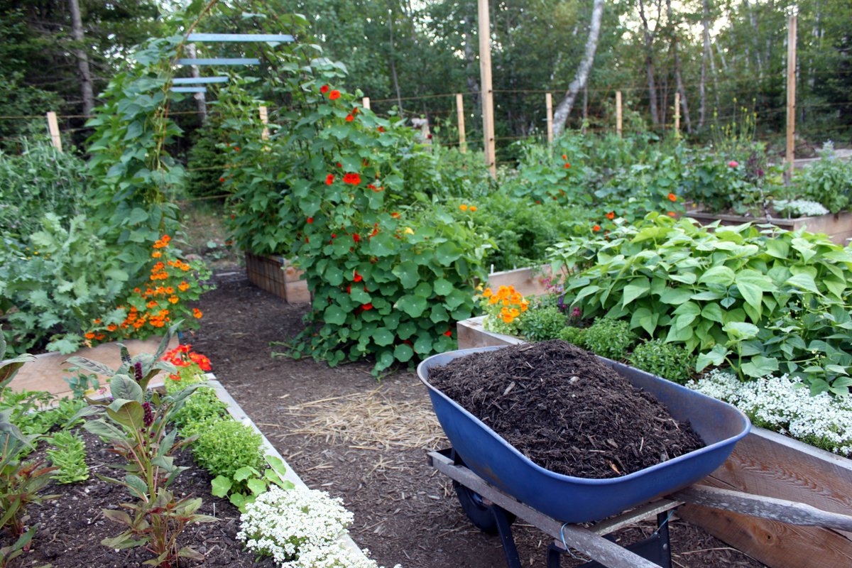 Colleen Zacharias tweet media