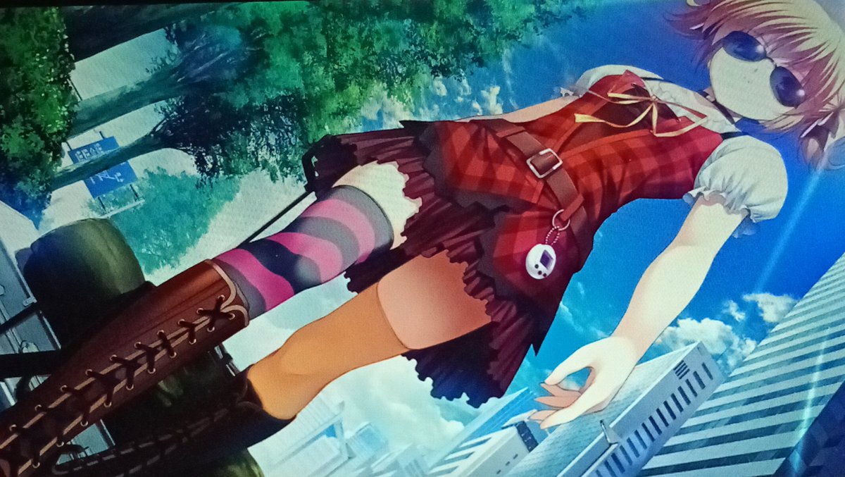 norinori(ノリノリ) (@norinorikazoku) / Posts / X