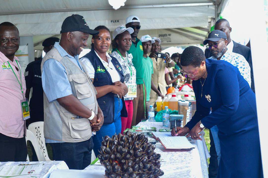 National Oil Palm Project tweet media