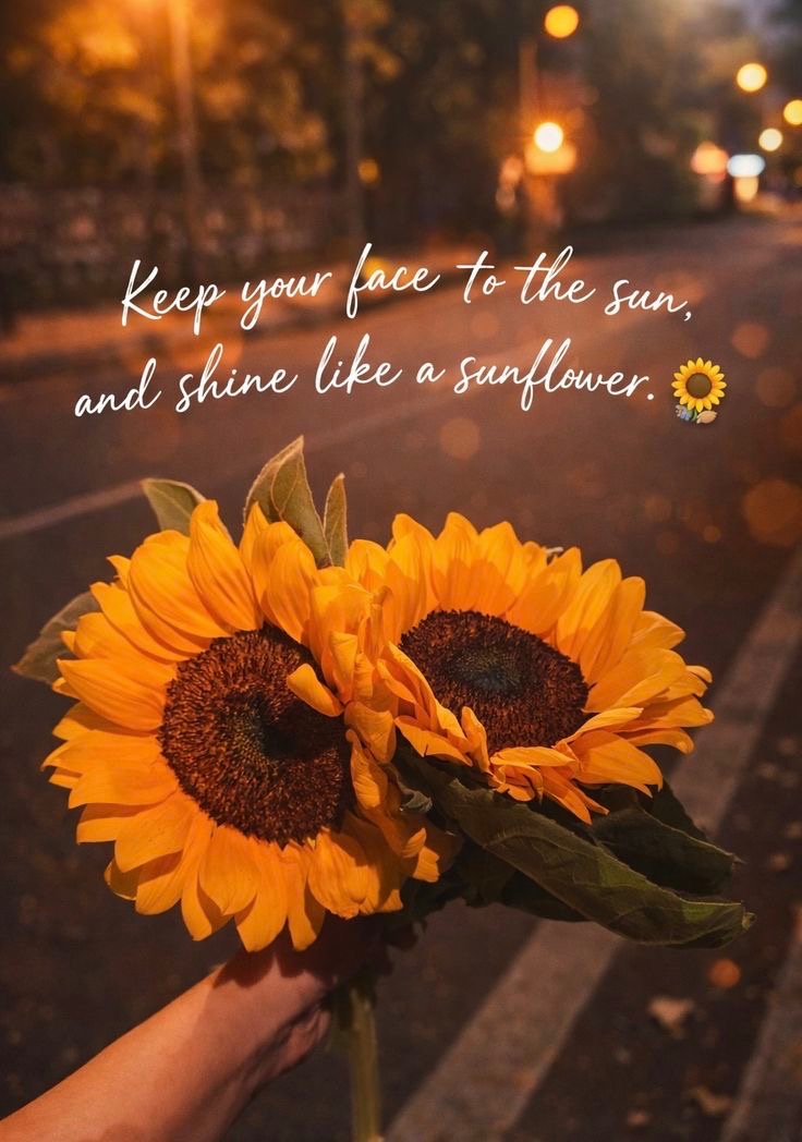 sunflowerchives's tweet photo. 💛 https://t.co/625Eck0rMD