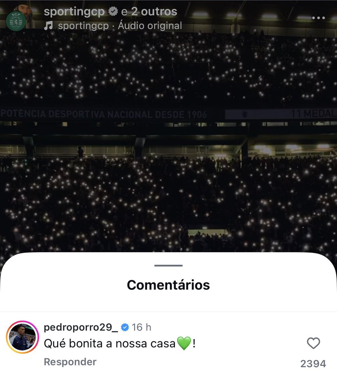 Porro 🥹🥹💚