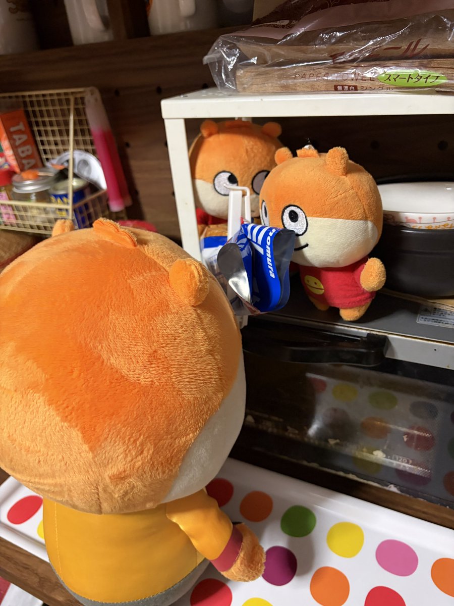 masamasacco's tweet photo. なんで今ビスケット? もう遅いから明日にして寝よ。
カンフー、こんな遅い時間におやつ食べたらお師匠に怒られるで。
#なんかあやしい
#カンフーこねずみ
#studioUG https://t.co/VMUIXspcvS