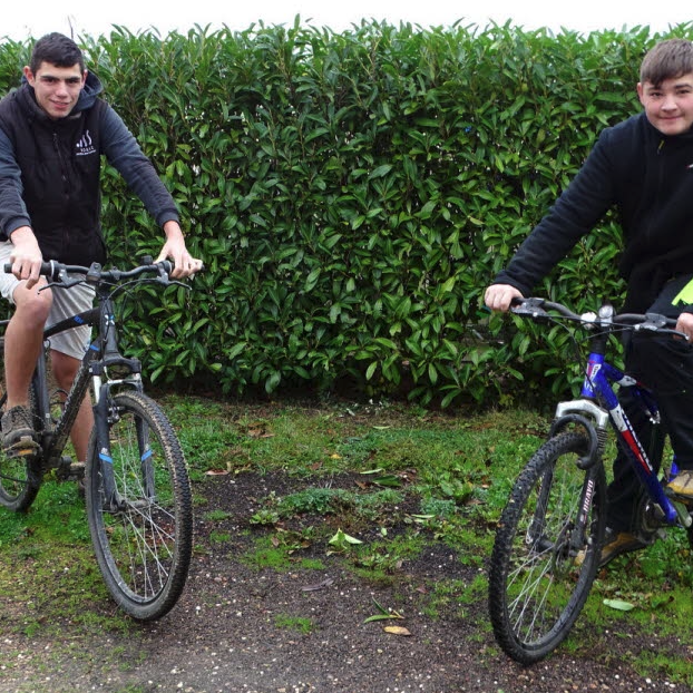 Le Média Positif 🍀 tweet media