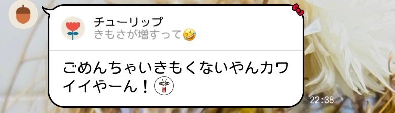 onぷᕷ꒰ ྀི ∩⸝⸝∩ ꒱♥︎ tweet media