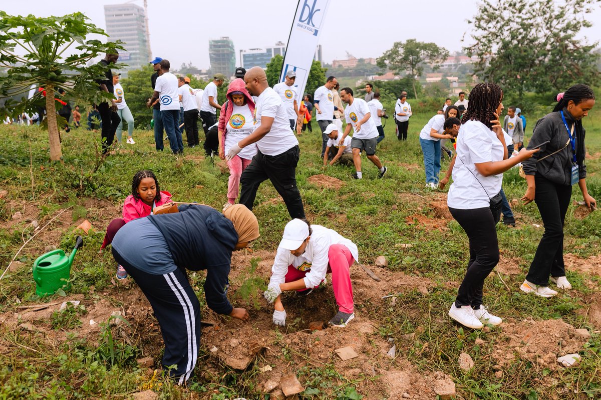 AGRIRESEARCH UNGUKA Ltd tweet media