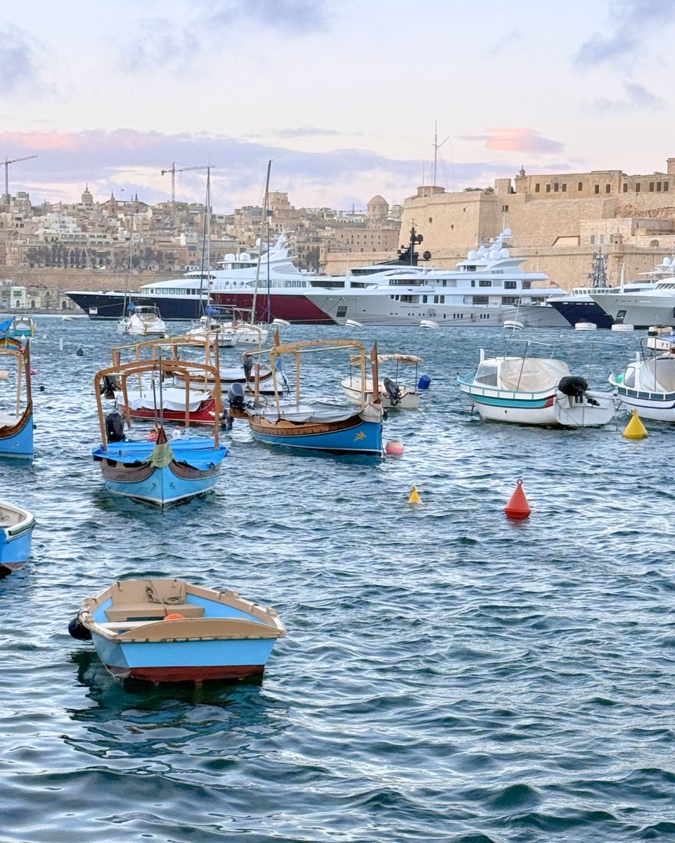 Hammer Made tweet media