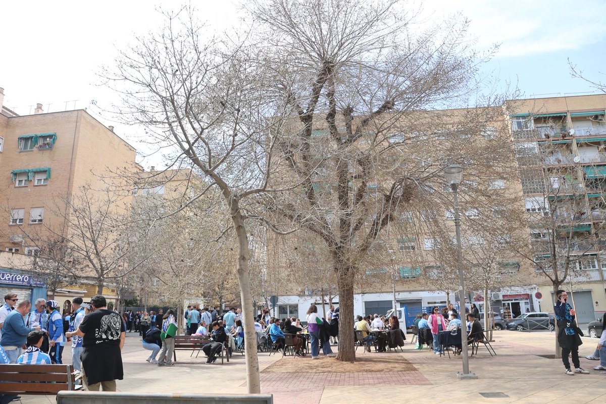 malagahoydxt tweet media