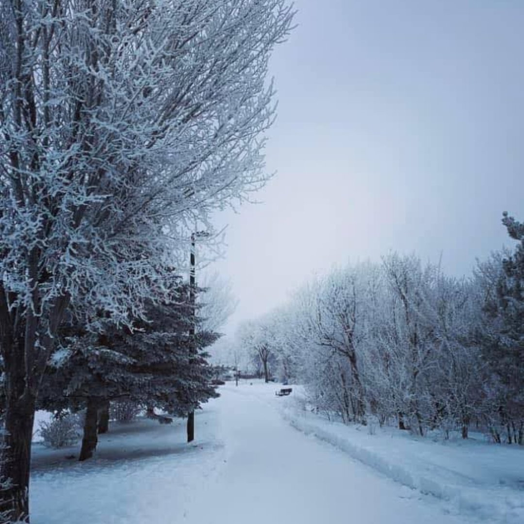 Trans Canada Trail 🇨🇦 tweet media