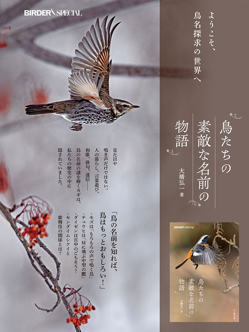 59種の鳥の名前の由来を、歴史や文化、古典をひもときながら解説