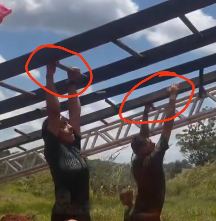 Dinodogoogle Américamg tweet media