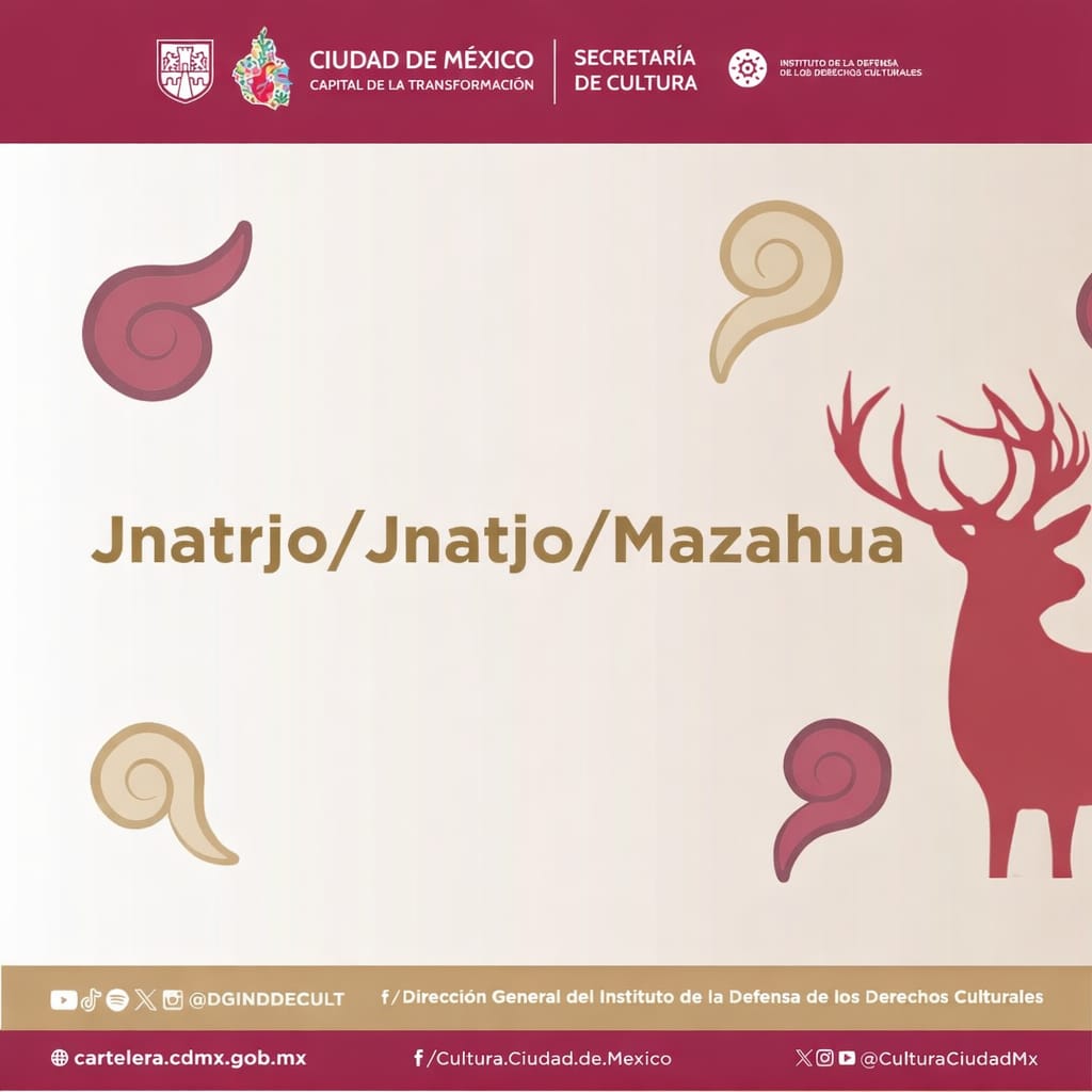 Instituto de la Defensa de los Derechos Culturales tweet media