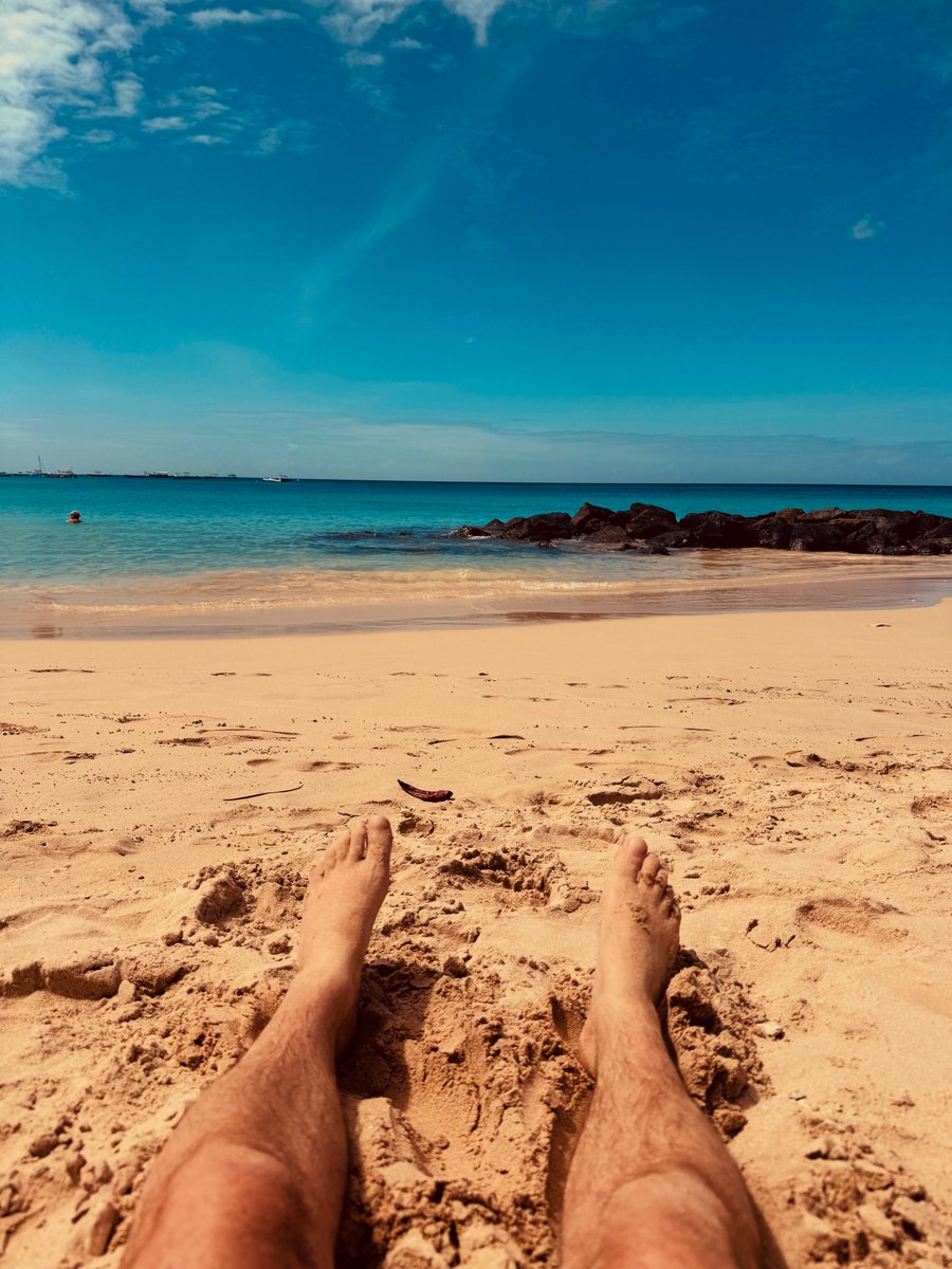 Paul Arthurs. tweet media