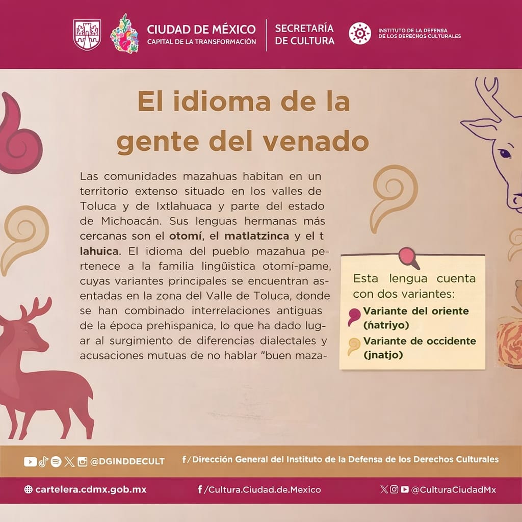 Instituto de la Defensa de los Derechos Culturales tweet media