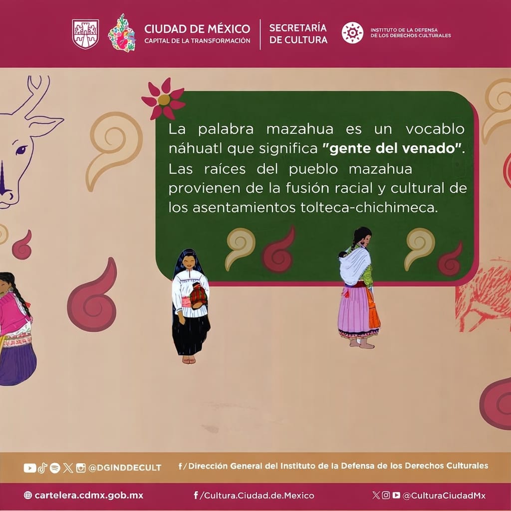 Instituto de la Defensa de los Derechos Culturales tweet media