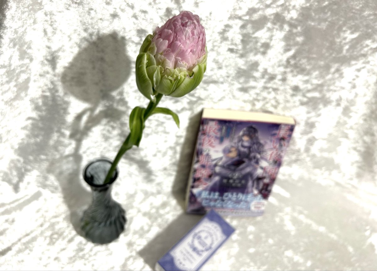 イリ@iri🍞 (@iri_poc) on Twitter photo 