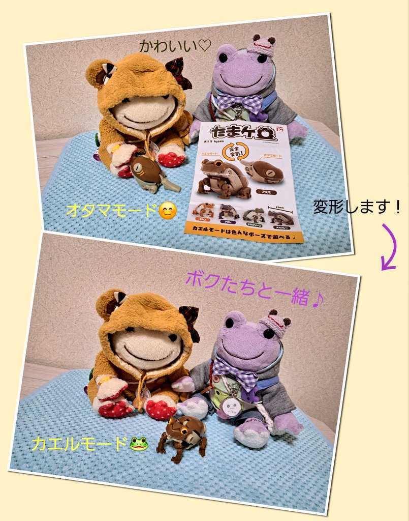 ☆何これ(｡・о・｡)☆ こんにちは！ こんなものを発見✨ オタマジャクシ