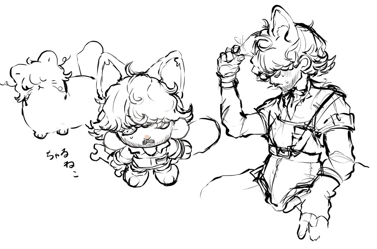 もゎ組📛 tweet media