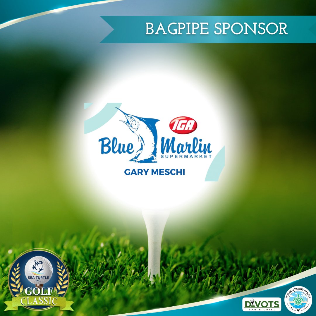 Sea Turtle, Inc. tweet media