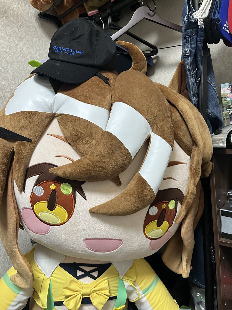 これは最近俺の家に居候している友達の帽子掛けにされているポッケ