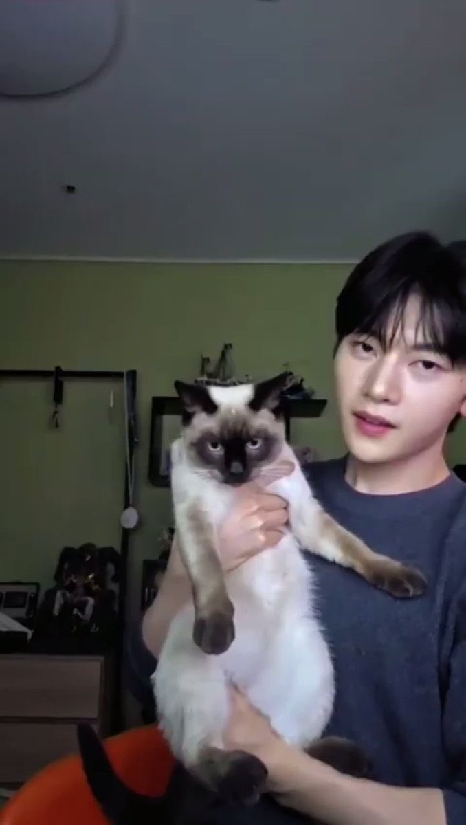 ferchievxl_'s tweet photo. a dog person and a cat person

#ZRSD #Ze_RoseSelcaDay #MATTHEW #SEOKMATTHEW #석매튜 #ZB1 #ZeroBaseOne #제로베이스원 https://t.co/3vZOFdjNFu