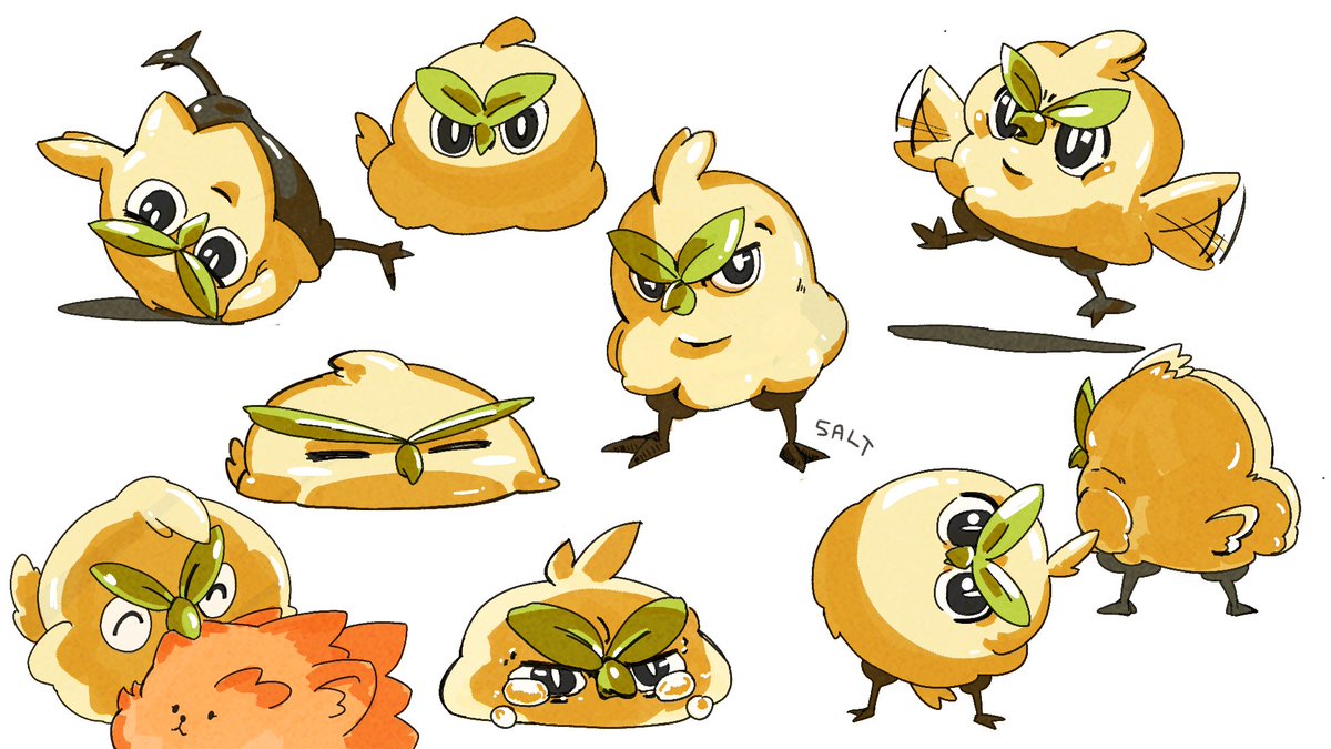 SALT | 솔트 tweet media