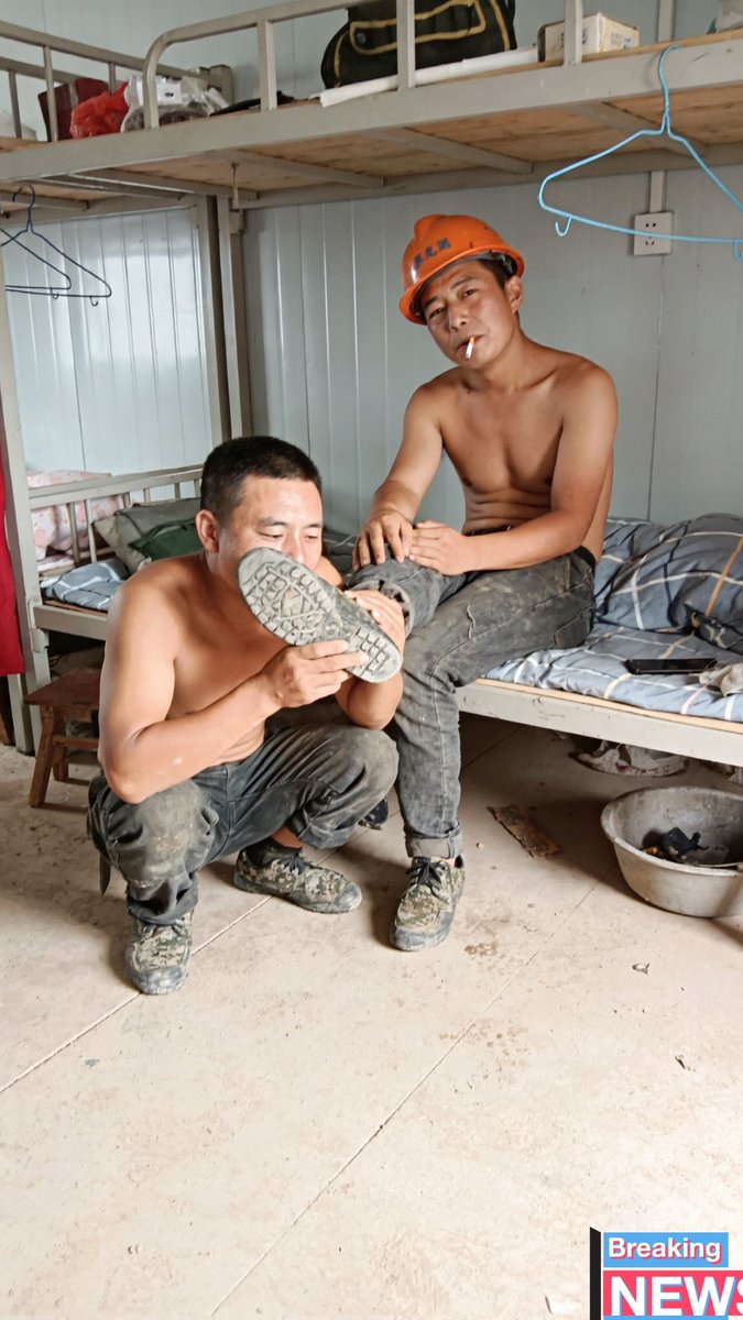 搜同-明逸 tweet media