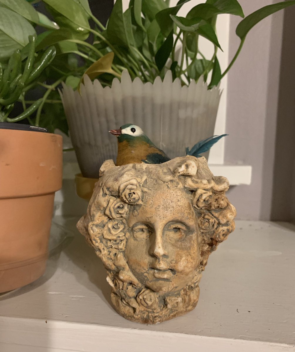 Sue Gibson tweet media