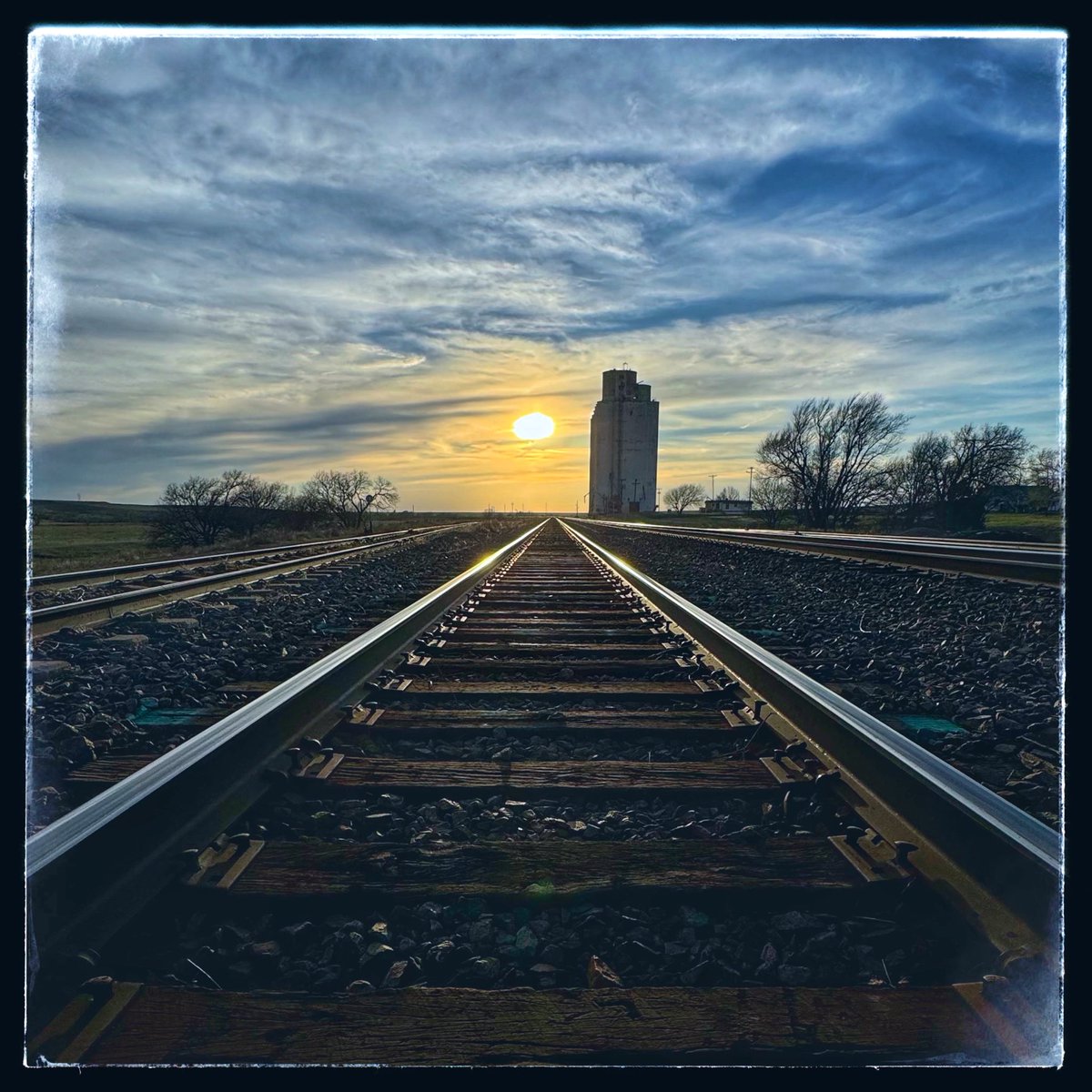 D Miller tweet media