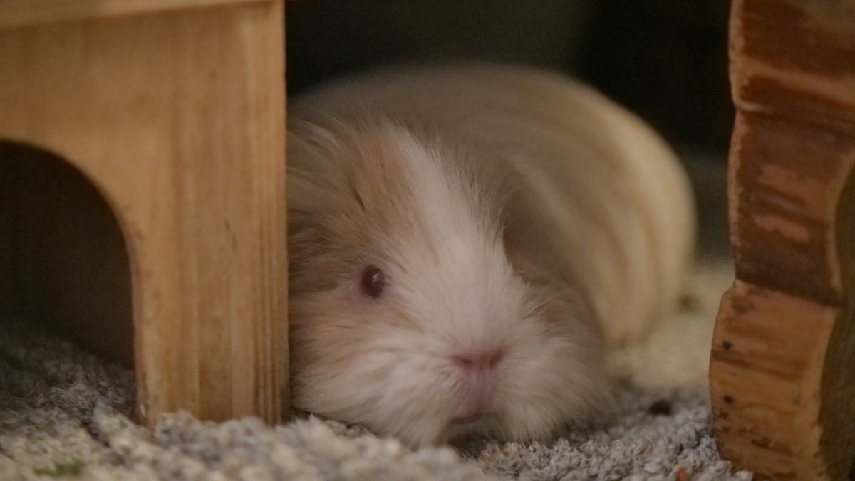 🚪🚪 tweet media