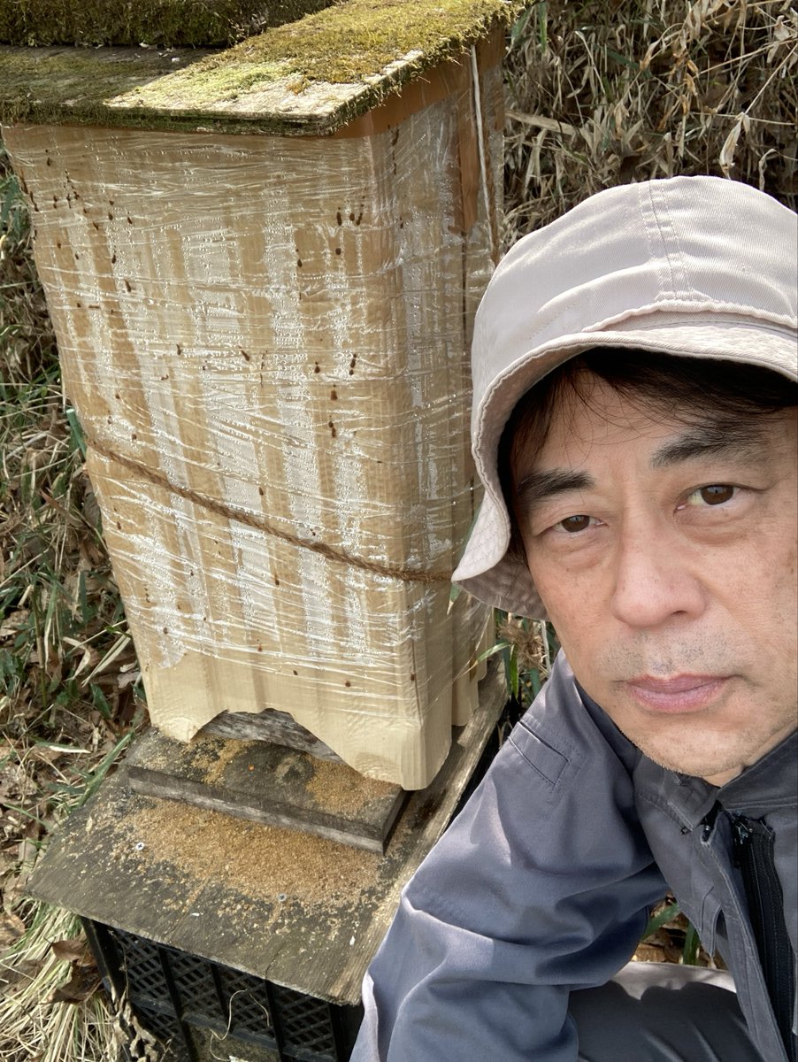 morinohachi's tweet photo. 山のミツバチたち
元気そうでした👍

冬越し成功！
がんばりました👏

ミツロウを塗って
今年も分蜂群待ちます

#ニホンミツバチ
#養蜂講座 https://t.co/zoa3LDmgyl