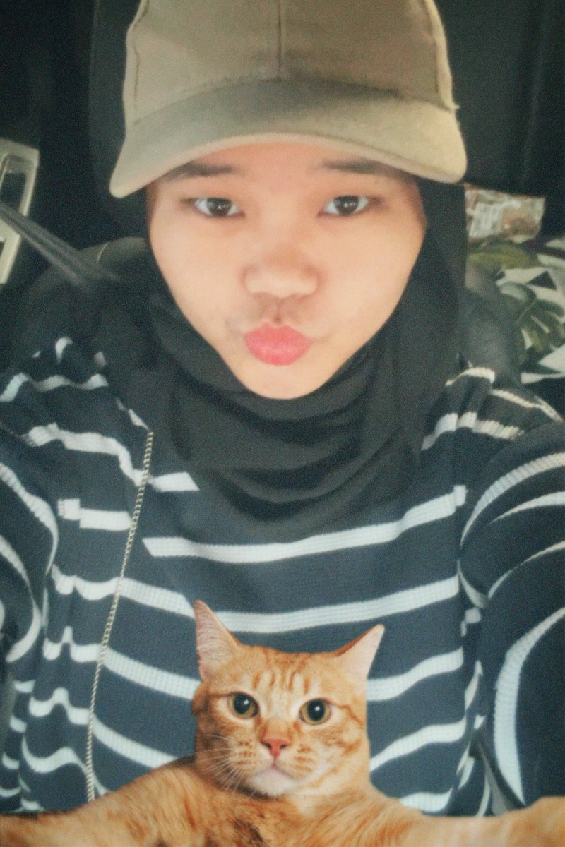 shblovv's tweet photo. my hamkitty ⋆🐾°

#zrsd #성한빈 #ZeroseSelcaDay https://t.co/OROCS0VfMT
