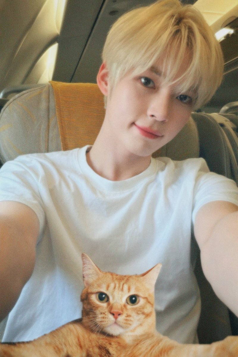 shblovv's tweet photo. my hamkitty ⋆🐾°

#zrsd #성한빈 #ZeroseSelcaDay https://t.co/OROCS0VfMT