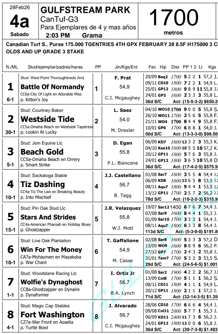 PabloJota27's tweet image. ((( WOLFIE'S DYNAGHOST ))) Sin Inventar Porque Los Ganadores Hay Que Indicarlos Dónde Corran Y Este Ejemplar Con Irad Ortiz Jr En Los Estribos Debe Ser Una Colita, Un Tren Sin Frenos, Los De ALTOS DIVIDENDOS Vía #SUSCRIPCIONVIP 📲+584226485373 Vía WhatsApp-Telegram