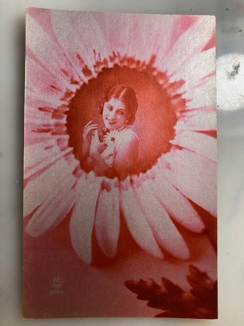 Pam's Pictorama tweet media