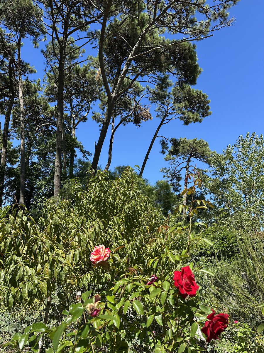 Nadina ✨ tweet media