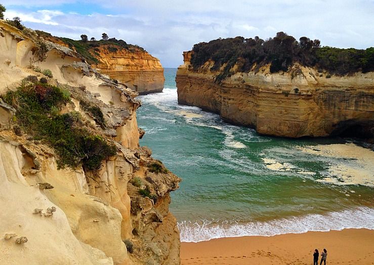 Globe Guide tweet media