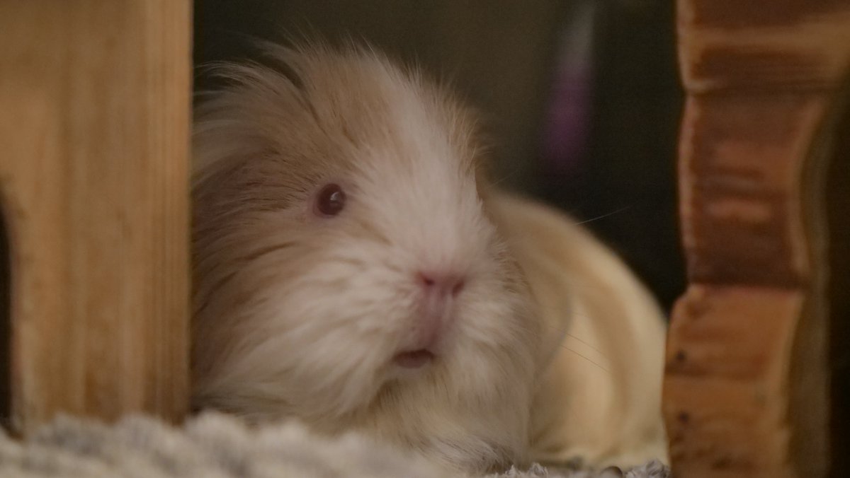 🚪🚪 tweet media