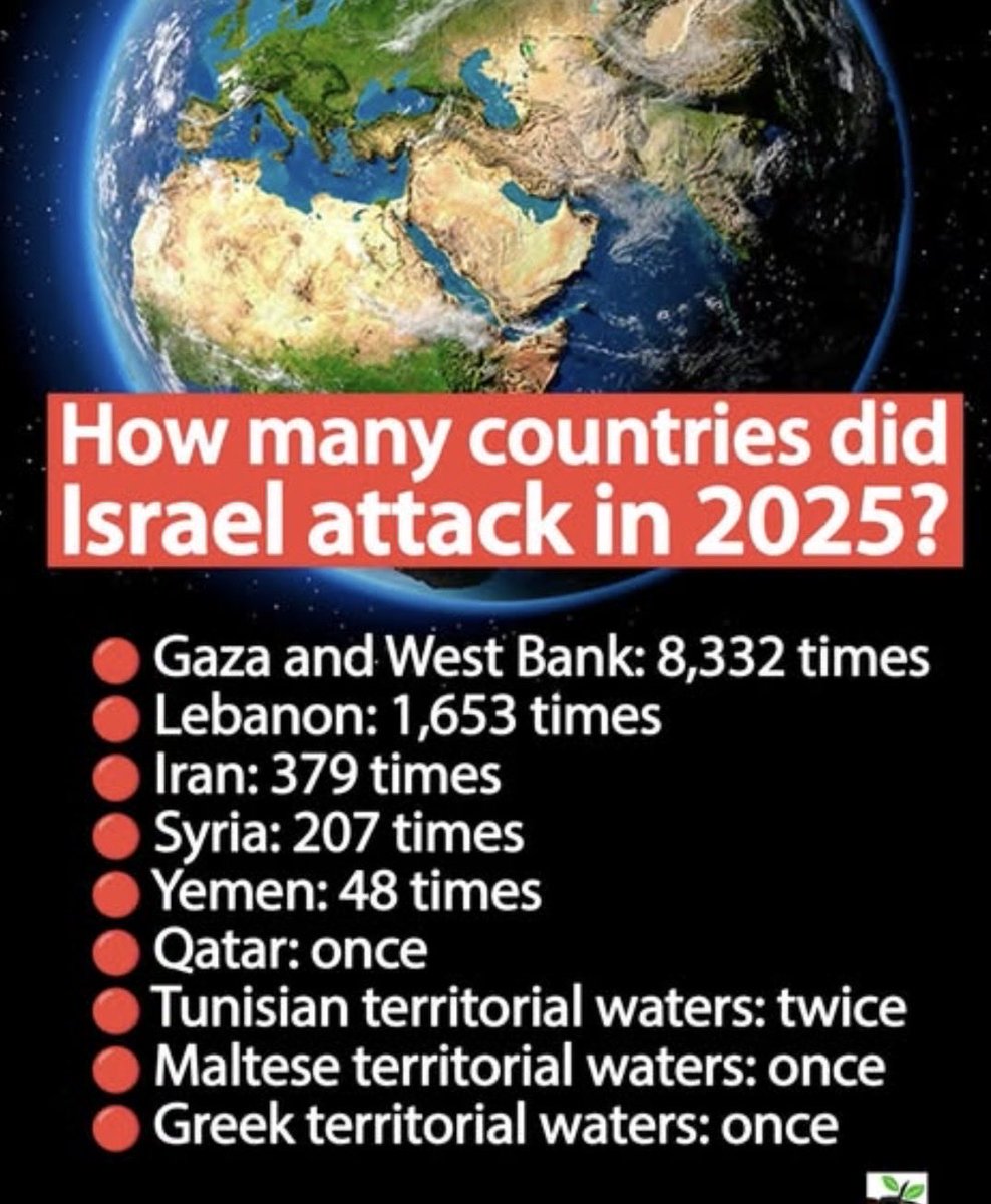 Behi B 🐝 tweet media